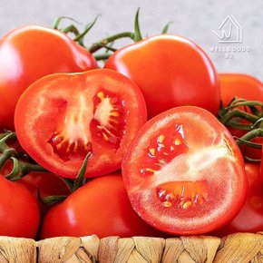 [웰굿] 산지직송 전남 화순 완숙 토마토 3kg(중과,개당150-200g)
