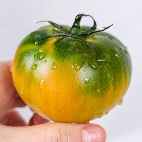 [산지직송]찐한맛 특품 대저 토마토 1kg/S-3S