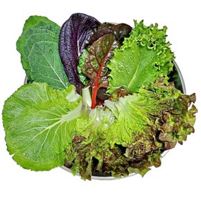 농부 모듬 쌈 채소 쌈채소 1kg