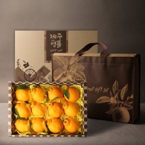 [과일선물세트] 한라봉 선물세트 3kg(11~12개) 부직포 가방