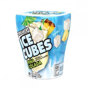 ice breaker아이스  브레이커  ICE  BREAKERS  ICE  CUBE  피나  콜라다  병
