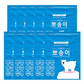 드라이 업 뽀송이 신발용 다목적 제습제 30g 4매X10봉