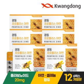 광동 프로폴리스 아연 60캡슐 6박스(12개월분) / 플라보노이드 셀레늄