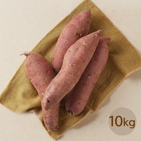[경기여주]작심밀도 여주 왕 꿀고구마 10kg (박스/개당 70-300g)