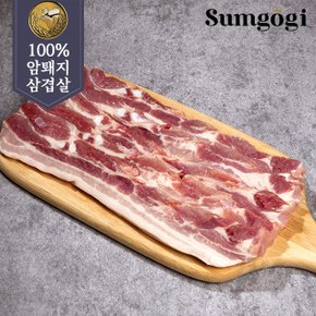 육즙가득 1등급 암퇘지 국내산 돼지고기 냉장 삼겹살 500g