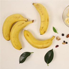 (200개 한정)유기농 국산 바나나 2.5kg[e경남몰]