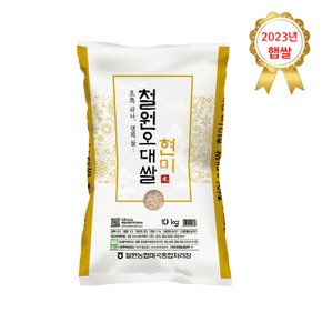 [철원농협] 23년산 햅쌀 철원 현미쌀 오대현미 10kg 산지직송