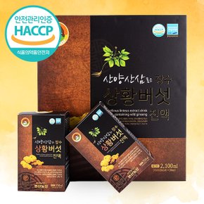 HACCP 산양삼 품은 상황버섯 진액 선물세트(70mlx60,2box)(+선물박스,쇼핑백)