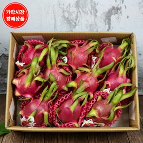[가락시장 경매 식자재 과일][베트남] 용과 5kg/box/10과