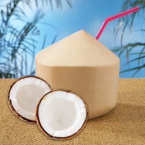 베트남 코코넛 2과(개당 1kg내외) 2kg