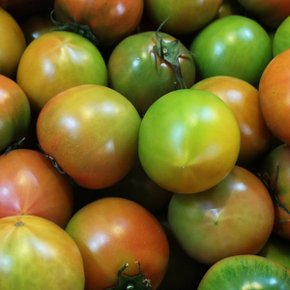 [빛과나무]빛가득 단짠 대저 토마토 2.5kg (S-2S)