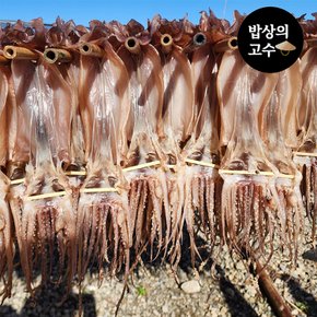 포항 구룡포 반건조 오징어 피데기 피대기 5마리 600g