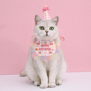생일 꼬깔 모자 케이프 세트 강아지 고양이 생일파티 악세사리