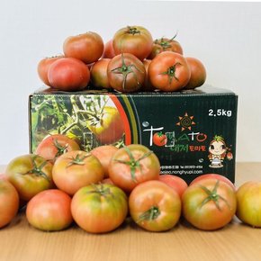 산지직송 짭짤한 못난이 부산 대저 토마토 2.5kg 대과 L