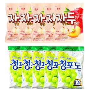 추억의사탕세트 자두맛사탕5개+청포도사탕5개 (WBA6A3E)