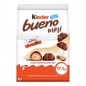 children킨더 부에노 미니, 초콜릿 앤 헤이즐넛 크림 초콜릿 바, 484g