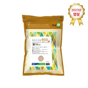 [철원농협] 23년산 햅쌀 철원 현미쌀 오대현미 4kg 산지직송