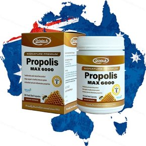 호주 최고함량 프로폴리스 맥스 6000 365캡슐 플라보노이드