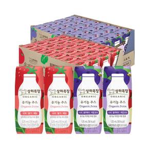 상하목장 유기농주스 사과딸기케일+사과블루베리케일 125ml 각 24팩 (총 48팩)
