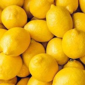 레몬 40과 [120g 내외/140과 기준] (H2K)