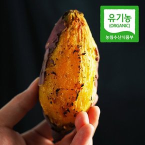 [유기농] 산지직송 해남 황토 꿀고구마 2kg(대)