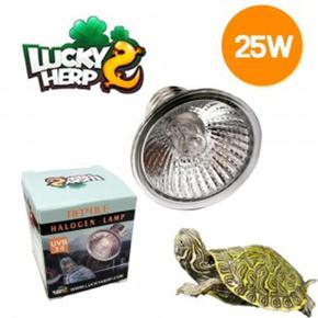 [에뚜알레브] 거북이전용 할로겐 램프 전구 25W UVB조명 파충류 (S10620528)