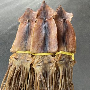 국산 배오징어 10마리 / 건오징어 배에서 말린오징어