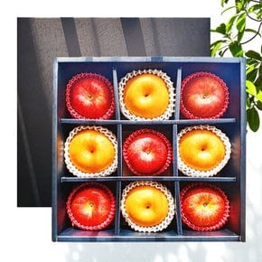 [웰굿]프리미엄 사과 배 혼합 선물세트 1호 4.5kg(사과5,배4)