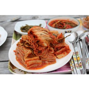 후레쉬앤푸드 중국산김치 숙성김치 맛김치 썰은 김치 10kg / 종이박스 포장