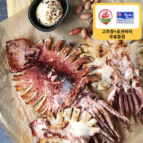 [증정혜택]포항 구룡포 피데기 반건조오징어 5미 (450내외)