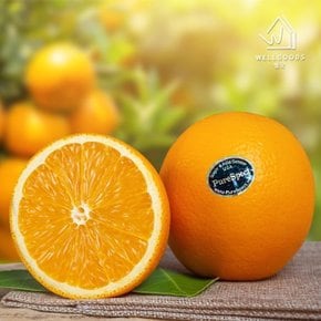 [웰굿] 미국산 블랙라벨 오렌지 30과(대과,개당300g내외)
