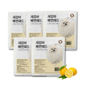 브이펫 새감바 휴대용 애견배변패드 10매 5팩 / 레몬향