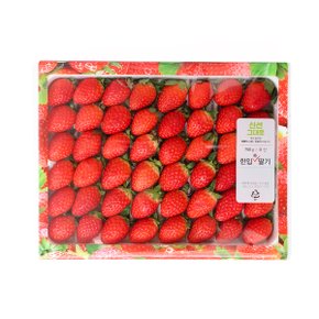 한입 쏙 딸기 750g/박스