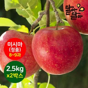경북 정품사과 미시마 부사 2.5kg(8-9과) 2박스