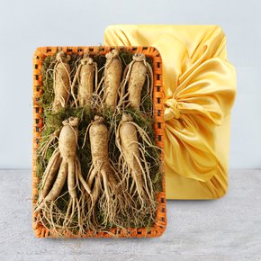 [산지직송] 금산 황금농장 수삼(특대) 1채 선물세트
