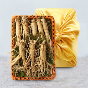 [산지직송] 금산 황금농장 수삼(대) 1채 선물세트