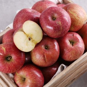 [유명산지] 못생겨도 맛좋은 가정용 사과(흠과) 2.5kg 10-15과내