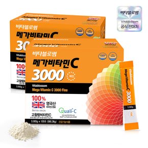 [비타블로썸] 메가비타민C 3000 파인 120포 X 2개