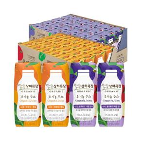 상하목장 유기농주스 사과오렌지케일+사과블루베리케일 125ml 각 24팩 (총 48팩)