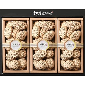[형지표고버섯] 백화고 특 1호 표고버섯선물세트 (410g/ 백화고)