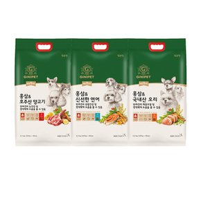 정관장 지니펫 더홀리스틱 홍삼함유 사료 5.2kg 3종 택 1+샘플200g