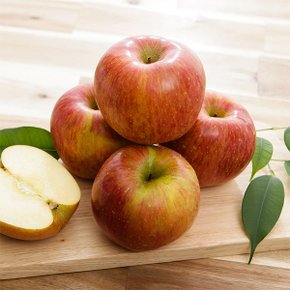 맛있는 가정용 사과 2kg (중소과/12과내외)