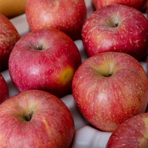 [저탄소인증]사과 부사 가정용 5kg(흠과 30과내외)