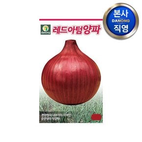 레드아텀 양파 씨앗 1g . 중만생종 적양파 채소 씨 종자 주말 농장 텃밭 재배
