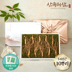인정받은 국내산 프리미엄 산양삼 5-6년근 10뿌리