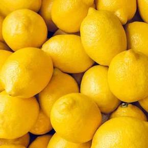 레몬 10과 [120g 내외/140과 기준] (H2K)