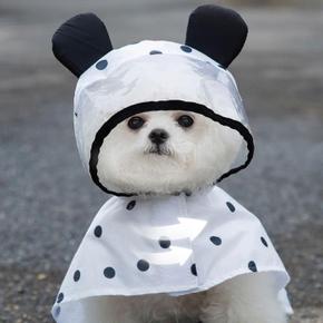 깔끔한 패턴 곰돌이 디자인 후드 귀여운 강아지 우비 (S11046175)