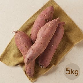 [경기여주]작심밀도 여주 왕 꿀고구마 5kg (박스/개당 70-300g)