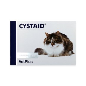 벳플러스 시스테이드 플러스 고양이 30캡슐