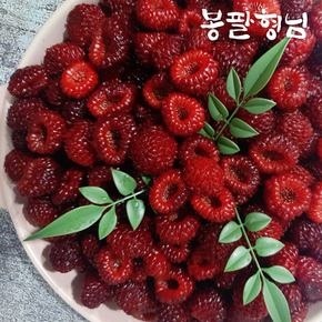 새콤달콤 포항 산딸기 1kg 급냉 신선포장